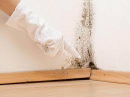 Best Mold Prevention Services  in Sheffield, OH